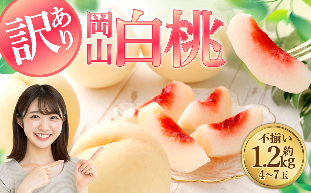 【訳あり】岡山白桃（家庭用）1.2kg以上 サイズ不揃い【2026年7月上旬～9月上旬まで順次発送予定】 もも 桃 モモ 4～7玉 フルーツ 果物 岡山県 倉敷市