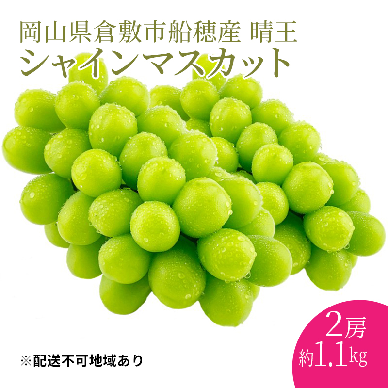 ぶどう 2025年度分 先行予約 【プレミアムシャインマスカット 晴王 2房 合計約1.1kg】船穂産 赤秀品以上 岡山県産 葡萄 ブドウ ギフト  ハレノフルーツ 皮ごと食べる みずみずしい: 倉敷市ANAのふるさと納税