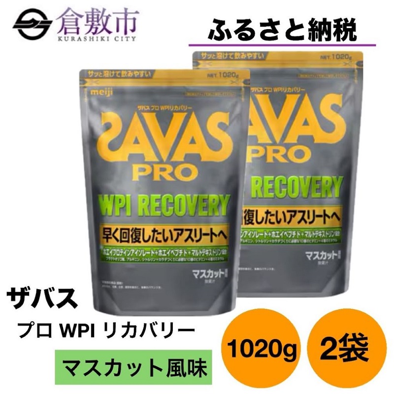 8673 プロテインプロ ホエイプロテイン ゼリー マスカット 300g×45袋 - その他