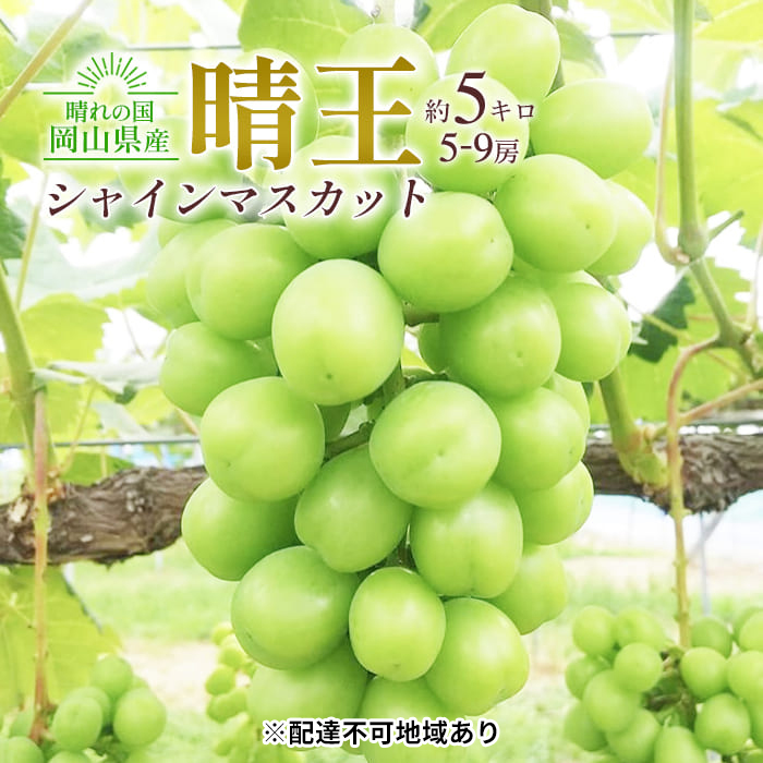 ぶどう 2025年 先行予約 シャイン マスカット 晴王 5～9房入り 合計約5kg 大粒 種無し ブドウ 葡萄 岡山県産 国産 フルーツ 果物  ギフト 橋田商店: 倉敷市ANAのふるさと納税