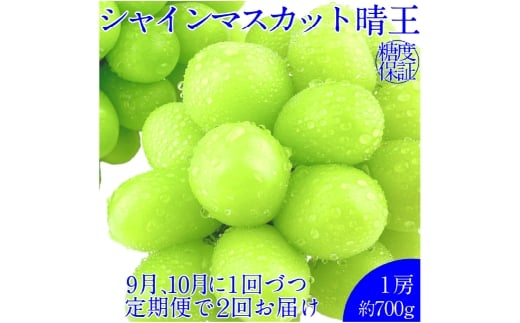 【2回定期便】シャインマスカット 晴王 １房 約700g ２回 定期便 9月・10月に1回ずつ発送 岡山県産 種無し 皮ごと食べる みずみずしい 甘い フレッシュ【2026年9月上旬発送開始】【岡山県産 種無し 皮ごと食べる みずみずしい 甘い フレッシュ 9月～10月発送 晴れの国 おかやま ぶどう 葡萄 マスカット 果物大国 彩美菜果 岡山県 倉敷市 おすすめ 人気】