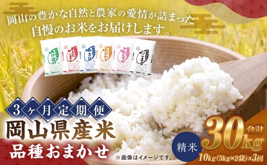 岡山県産米品種おまかせ10kg（5kg×2袋）3ヶ月定期