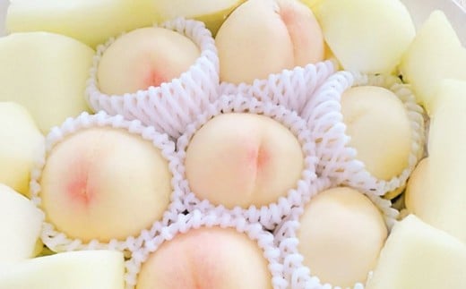 岡山白桃 キング・エース 8～15玉入り（合計約4kg）【2026年7月上旬～8月下旬 発送予定】【もも 桃 白桃 果物 フルーツ 国産 人気 おすすめ 岡山県 倉敷市】