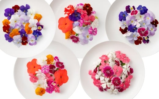 エディブルフラワー 生花MIX（20輪入り）5種5パックセット 【食べられるお花 栽培期間中 農薬不使用】