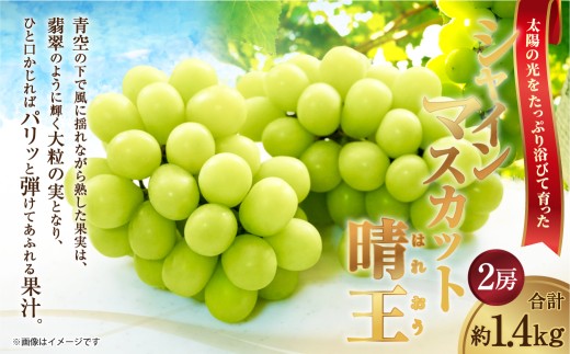 シャインマスカット 晴王 2房 約1.4kg