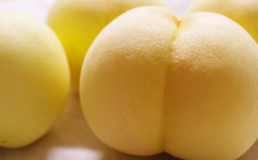 清水白桃 3.6キロ