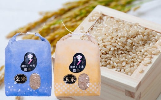 備前乙女米 玄米 5kg×2袋