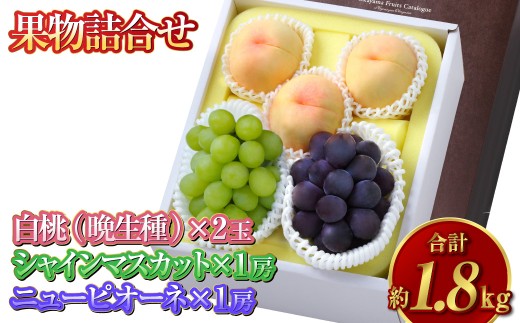 果物詰合せ 合計約1.8kg（白桃（晩生種）3玉・シャインマスカット 1房・ニュー ピオーネ 1房）岡山 フルーツ 白桃 シャインマスカット ニューピオーネ 詰め合わせ 果実【2026年8月下旬～9月下旬発送予定】