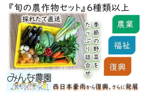 【思いやり型返礼品】倉敷市真備町みんな農園旬の農産物セット【農産物 野菜 農園 新鮮 畑 やさい 美味しい おいしい 真備町 岡山県 倉敷市 おすすめ 人気】