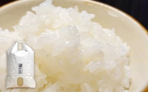 【令和7年産】岡山倉敷市産 特別栽培米 きぬむすめ 10kg【お米 米 きぬむすめ 国産 岡山県 倉敷市 人気 おすすめ】