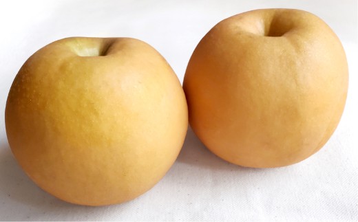 あたご梨 2玉 約1.8kg 【2026年11月下旬～12月下旬迄順次発送予定】 梨 なし ナシ 果物 フルーツ 岡山県 倉敷市