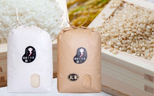 備前乙女米 白米10kg×1袋・玄米10kg×1袋
