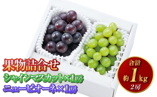 果物詰合せ 合計約1.0kg（シャインマスカット 1房・ニュー ピオーネ 1房）岡山 ぶどう シャインマスカット ニューピオーネ 詰め合わせ 皮ごと 食べられる 種なし【2026年8月下旬～10月下旬発送予定】