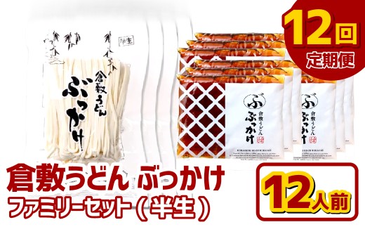 【12ヶ月定期便】『倉敷うどん ぶっかけ』ファミリーセット(半生) 12人前×12回 うどん 麺類 麺 半生 半生麺 ぶっかけうどん タレ つゆ 岡山県 倉敷市