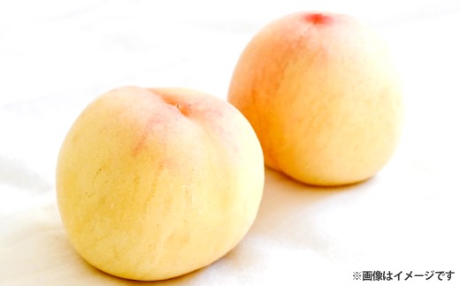 【ご家庭用】 岡山白桃 5～7玉（約1.5kg以上）