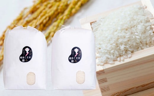 備前乙女米 白米 10kg×2袋