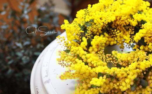 フレッシュ ミモザのリース【ハンドメイド ミモザリース リース ドライフラワー ミモザ お花 花 岡山県 倉敷市 おすすめ 人気】【2026年2月下旬-3月下旬 発送予定】