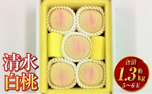 清水白桃 5～6玉（約1.3kg）岡山 清水白桃 桃の女王 高級 贈り物 ギフト 果肉 柔らかい 果汁 早生種【2026年7月下旬～8月上旬迄順次発送予定】