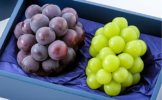 ニューピオーネ1房・シャインマスカット1房