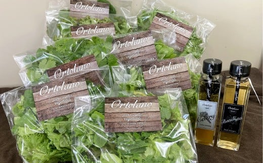 【Ortolano】ファーストクラスのサラダ＆セロリドレッシングセット S-2