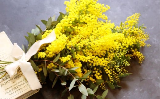 ミモザとユーカリのスワッグ