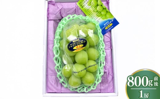 シャインマスカット【晴王】　800g前後 1房（化粧箱入り）【2025年7月下旬-12月下旬 発送予定】