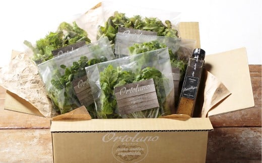 【Ortolano】ファーストクラスのサラダ＆ドレッシングセット A
