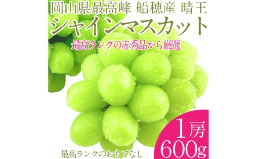 プレミアム シャインマスカット 晴王 1房 約600g【2026年9月上旬-10月下旬 発送予定】 【シャインマスカット マスカット ぶどう 葡萄 岡山県産 種無し 皮ごと食べる みずみずしい 9月～10月お届け フレッシュ 晴れの国おかやま 果物大国 贈答品 彩美菜果 岡山県 倉敷市】