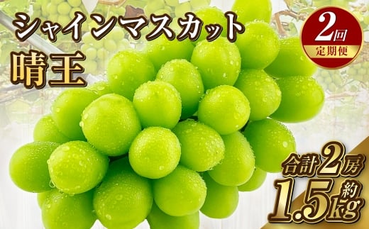 【定期便 全2回／2026年9・10月発送】 岡山県産シャインマスカット 晴王 1房 約750g ｜2回定期便 9月・10月に1回づつお届け 種無し 皮ごと食べる 旬の美味しさ フレッシュ 先行予約 ハレノフルーツ
