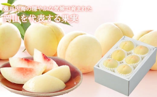 岡山白桃 エース 4～6玉 約1kg 岡山県産 【2026年7月上旬～8月下旬まで順次発送予定】 モモ もも 桃 白桃 果物 フルーツ 岡山県 倉敷市