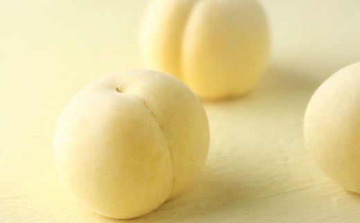 岡山県産冬桃がたり3個入り