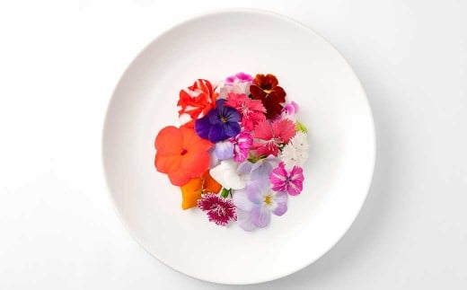 エディブルフラワー 生花MIX（20輪入り）5パックセット【食べられるお花 栽培期間中 農薬不使用】