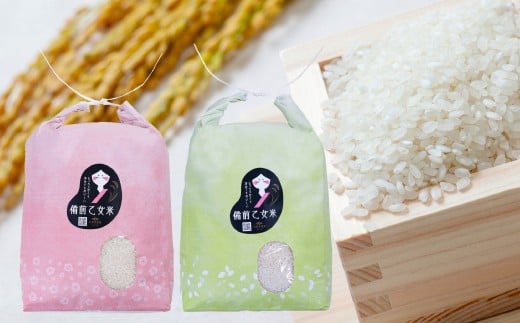 備前乙女米 白米 5kg×2袋