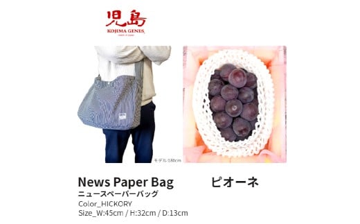 NEWS PAPER BAG（Hickory）＋家庭ピオーネ 2房（1房約530g以上）