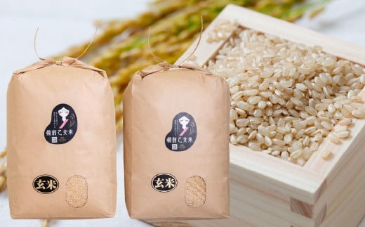 備前乙女米 玄米 10kg×2袋