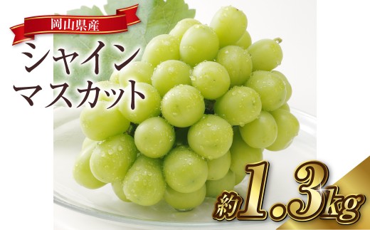 シャインマスカット 2～3房（合計約1.3kg）果物 ぶどう フルーツ デザート スイーツ 高糖度 甘い 種なし 大粒 人気 皮ごと【2026年8月下旬～9月下旬発送予定】