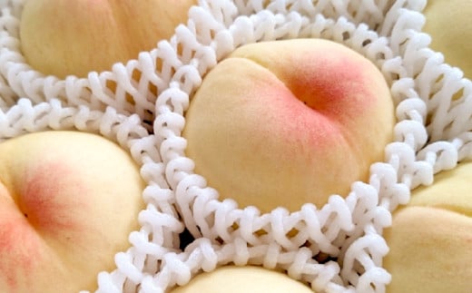 もっとも旬な桃をお届け 岡山の桃 3.6キロ