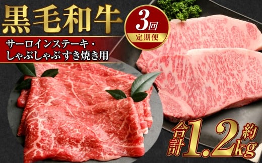 【定期便3か月】岡山 黒毛和牛 美星牛 A4等級以上 3か月 定期便 合計約1200g