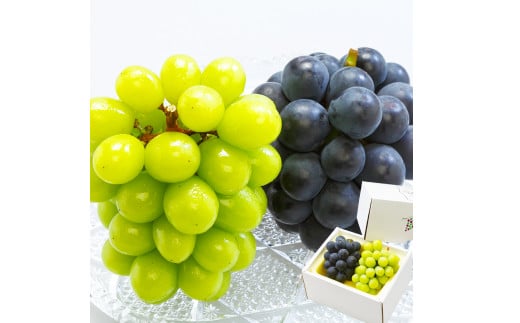 【先行予約】岡山県産 詰合せ ニューピオーネ 1房とシャインマスカット『晴王』 1房 化粧箱入り【2026年8月下旬～10月上旬まで順次発送予定】【シャインマスカット 果物 フルーツ 国産 人気 おすすめ 岡山県 倉敷市】