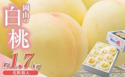 【先行予約】岡山県産　白桃8玉（1.7kg以上）化粧箱入り【2026年7月上旬～8月上旬まで順次発送予定】【もも 桃 白桃 果物 フルーツ 国産 人気 おすすめ 岡山県 倉敷市】