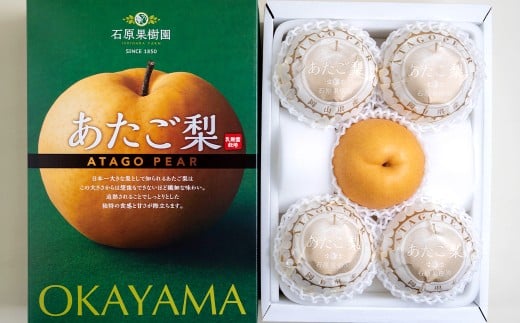 あたご梨 3～6玉 合計約3kg 化粧箱