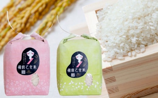 備前乙女米 白米 2kg×2袋