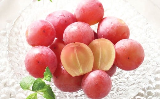 岡山県産桃太郎ぶどう1房・クイーンニーナ1房