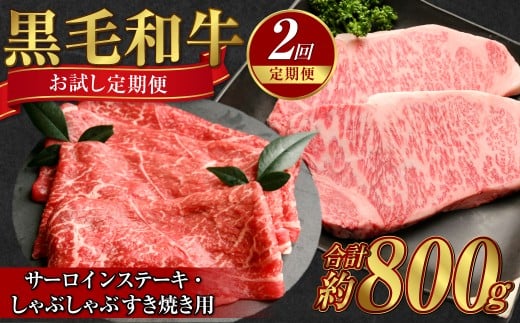 【定期便2か月】岡山 黒毛和牛 美星牛 A4等級以上 合計約800g