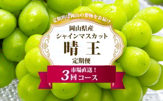 岡山県産 シャインマスカット 晴王 2房（1房600g以上） 3回定期便【2026年8月下旬～10月下旬まで順次発送予定】【シャインマスカット 果物 フルーツ 国産 人気 おすすめ 岡山県 倉敷市】
