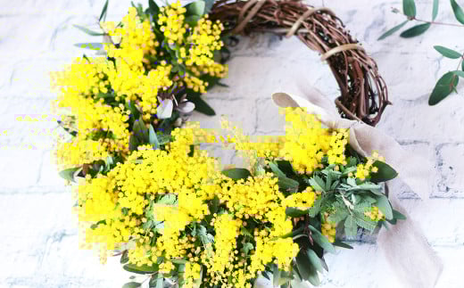 フレッシュ ミモザ ハーフムーンリース L【ハンドメイド ミモザリース リース ドライフラワー ミモザ お花 花 岡山県 倉敷市 おすすめ 人気】【2026年2月下旬-3月下旬 発送予定】