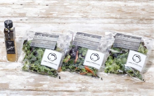 【Ortolano】ファーストクラス機内食提供のサラダセット