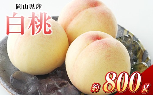白桃 3玉（合計約800g）果物 デザート スイーツ フルーツ 果肉 美味しい 甘い 柔らかい 上品【2026年7月上旬～7月下旬迄順次発送予定】