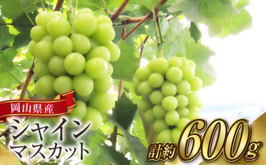 シャインマスカット 1房（1房 600g前後）