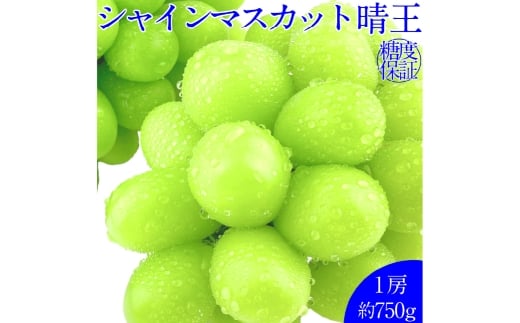シャインマスカット 晴王 １房 約750g 種無し 皮ごと食べる フレッシュ 旬の美味しさ【2026年9月上旬-10月下旬 発送予定】【岡山県産 種無し 皮ごと食べる みずみずしい 甘い フレッシュ 9月～10月発送 晴れの国 おかやま ぶどう 葡萄 マスカット 果物大国 彩美菜果 岡山県 倉敷市 おすすめ 人気】